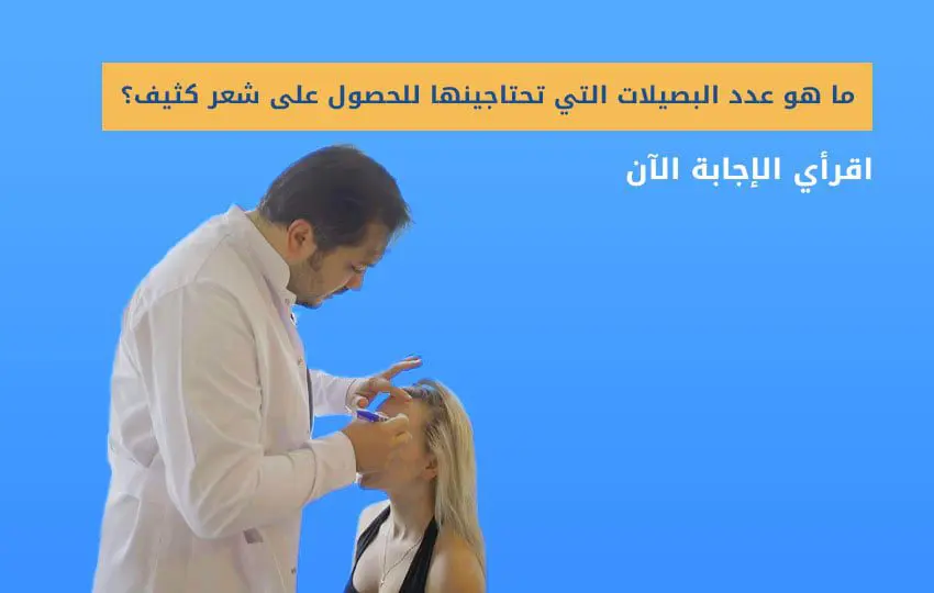 زراعة مقدمة الراس للنساء | ما هو الحد الأقصى لاقتطاف البصيلات؟