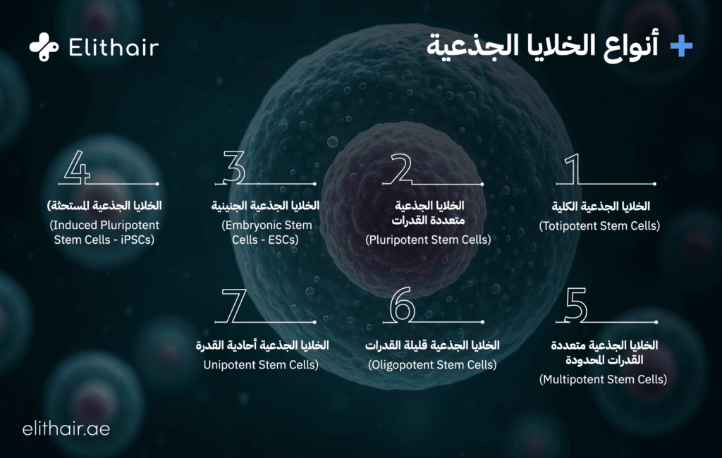 أنواع الخلايا الجذعية - مركز اليت هير لزراعة الشعر