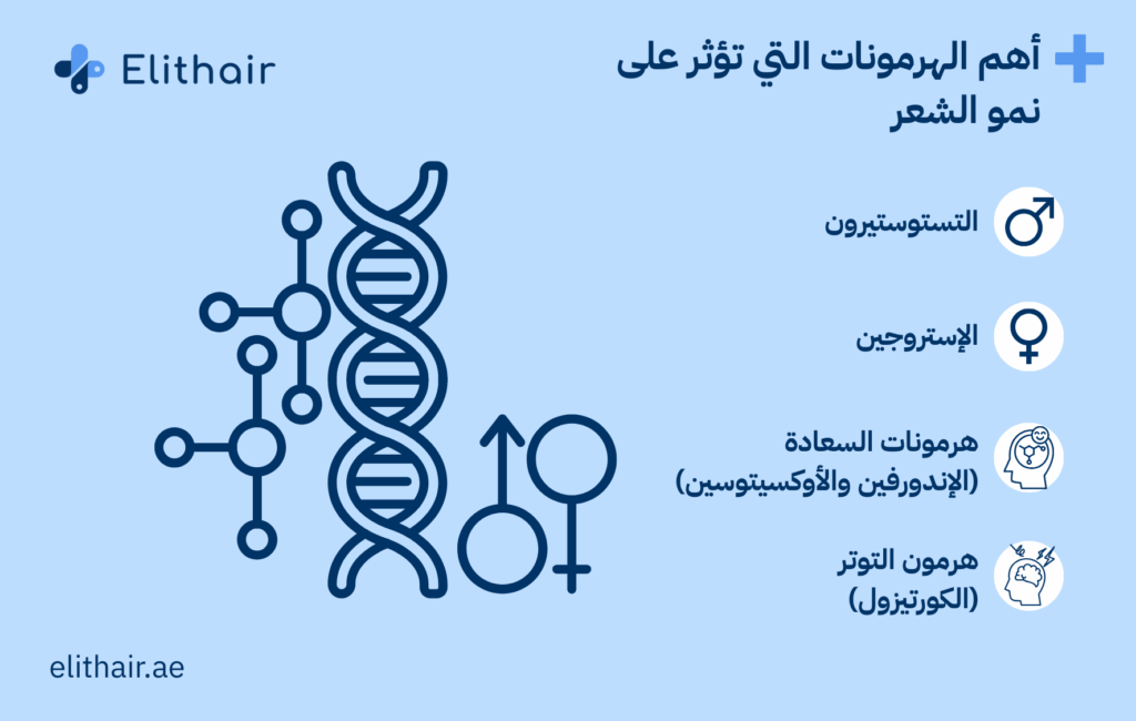 الهرمونات التي تؤثر على نمو الشعر وتساقطه - مركز اليت هير