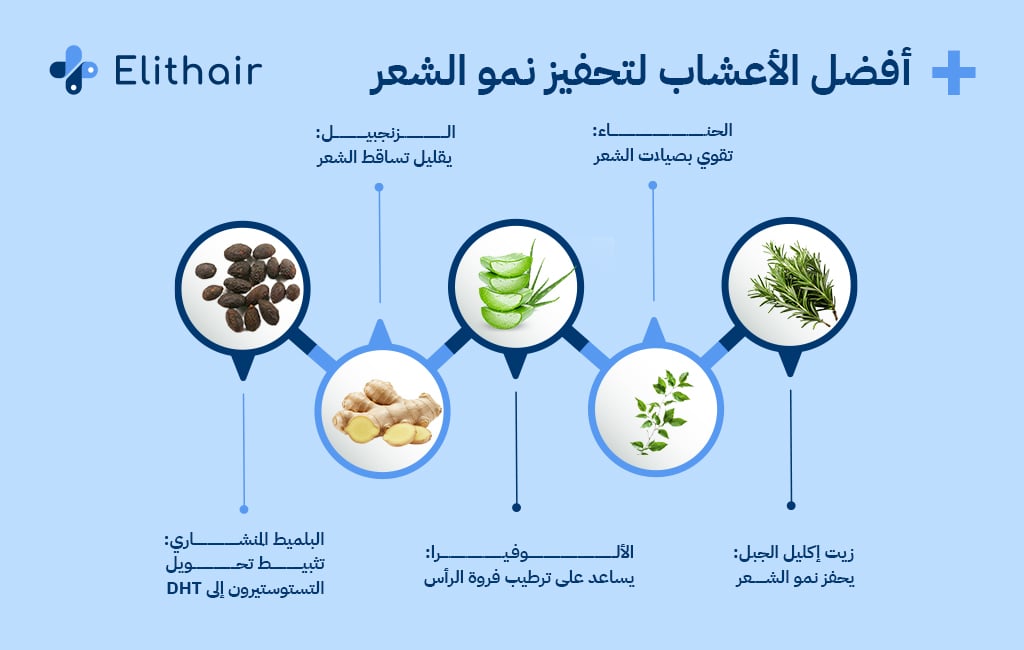 أشهر الأعشاب المستخدمة في علاج الصلع