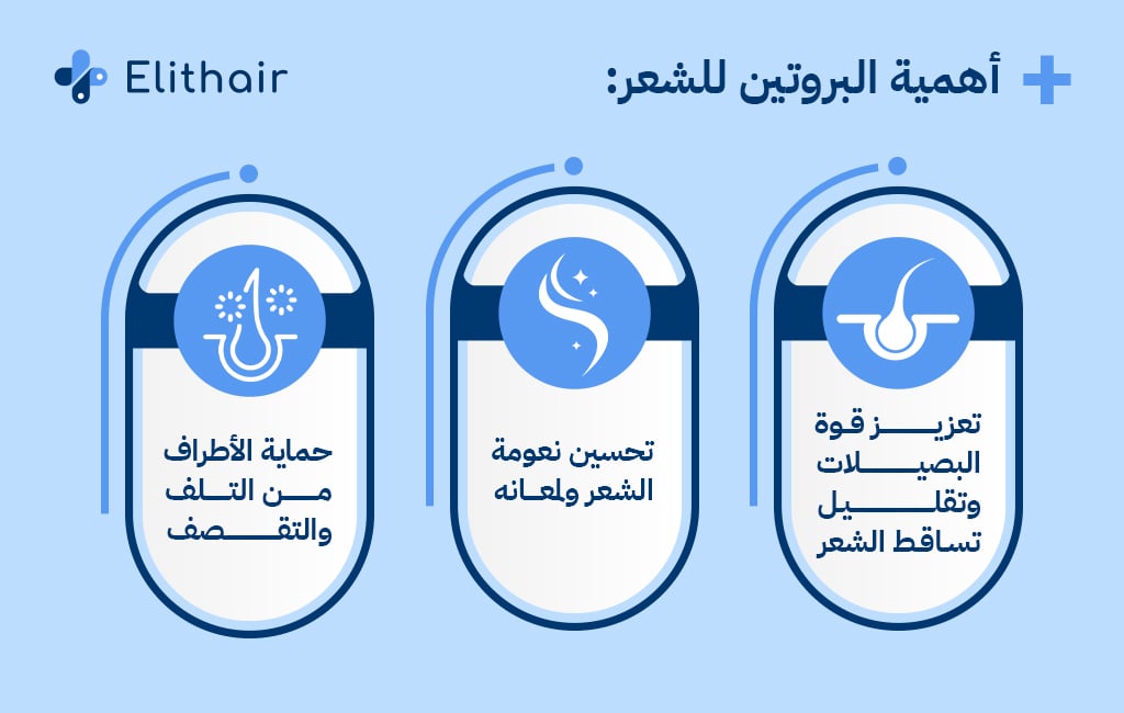 أهمية البروتين للشعر