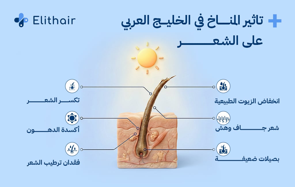 تأثير المناخ في الخليج العربي على الشعر - مركز اليت هير لزراعة الشعر